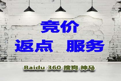 案例展示：托管竞价SEM助力企业实现业绩增长